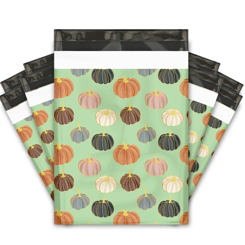 Pumpkin Patch π 10x13 Poly Mailers Pack of 25 - Picture 7 of 10